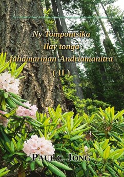 Ny Fahamarinan'Andriamanitra izay voambara ao amin'ny Romana - Ny Tompontsika Ilay tonga fahamarinan'Andriamanitra (II) (eBook, ePUB) - Jong, Paul C.