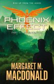 The Phoenix Effect Part 2 The Phoenix Effect Part 2