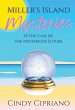 Miller's Island Mysteries 2 The Case of... - Bild 1