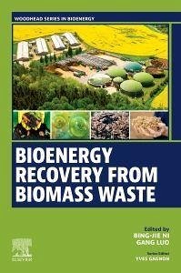 Bioenergy Recovery from Biomass Waste