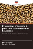 Production d'énergie à partir de la biomasse en Louisiane