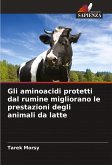 Gli aminoacidi protetti dal rumine migliorano le prestazioni degli animali da latte