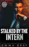 Stalked by the Intern (Stalking A-Z, #9) (eBook, ePUB)