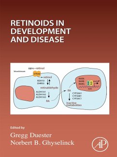 Cover Retinoids in Development and Disease (eBook, ePUB)