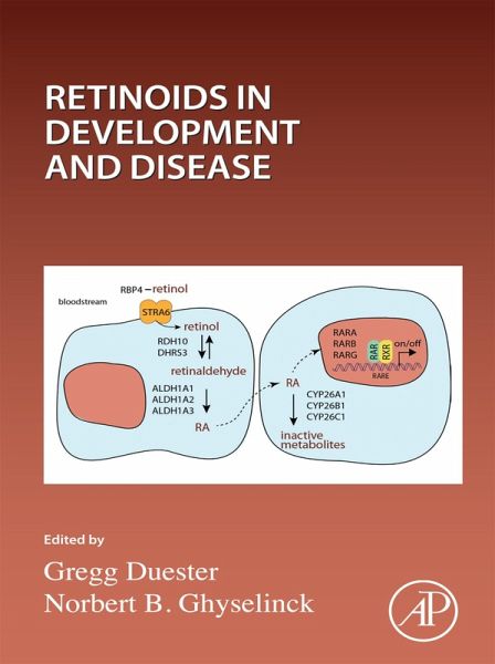 Retinoids in Development and Disease (eBook, ePUB) Retinoids in Development and Disease (eBook, ePUB)