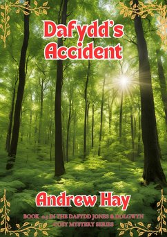 Dafydd's Accident (Dafydd Jones & Dolgwyn Cozy Mystery Series, #0.5) (eBook, ePUB) - Hay, Andrew