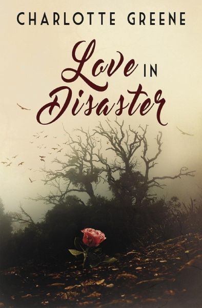 Love in Disaster (eBook, ePUB)
