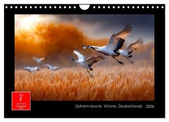 Geheimnisvolle Wildnis Deutschlands (Wandkalender 2026 DIN A4 quer), CALVENDO Monatskalender