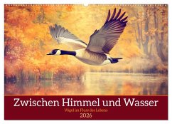 Zwischen Himmel und Wasser (Wandkalender 2026 DIN A2 quer), CALVENDO Monatskalender