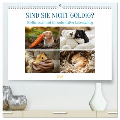 Sind sie nicht goldig? (hochwertiger Premium Wandkalender 2026 DIN A2 quer), Kunstdruck in Hochglanz Sind sie nicht goldig? (hochwertiger Premium Wandkalender 2026 DIN A2 quer), Kunstdruck in Hochglanz