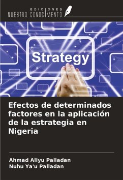 Cover Efectos de determinados factores en la aplicación de la estrategia en Nigeria