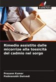 Rimedio assistito dalle micorrize alla tossicità del cadmio nel sorgo Rimedio assistito dalle micorrize alla tossicità del cadmio nel sorgo