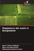 Mappatura del suolo in Bangladesh