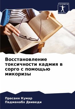 Vosstanowlenie toxichnosti kadmiq w sorgo s pomosch'ü mikorizy - Kumar, Prasann;Dwiwedi, Padmanabh