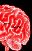 Lucid (eBook, ePUB) Lucid (eBook, ePUB)