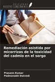 Remediación asistida por micorrizas de la toxicidad del cadmio en el sorgo Remediación asistida por micorrizas de la toxicidad del cadmio en el sorgo