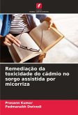 Remediação da toxicidade do cádmio no sorgo assistida por micorriza Remediação da toxicidade do cádmio no sorgo assistida por micorriza
