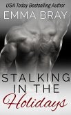 Stalking in the Holidays (Spicy Holiday Romances, #1) (eBook, ePUB)