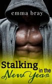 Stalking in the New Year (Spicy Holiday Romances, #2) (eBook, ePUB)