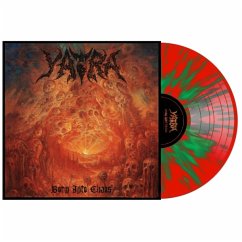 Cover Born Into Chaos