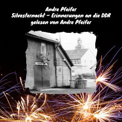 Cover Silvesternacht (MP3-Download)