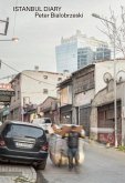 Istanbul Diary Istanbul Diary