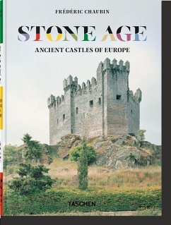 Cover Frédéric Chaubin. Stone Age. 45th Ed.