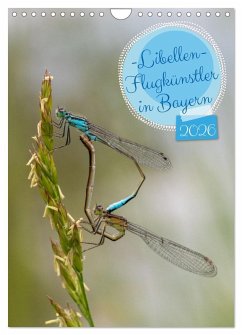 Libellen - Flugkünstler in Bayern (Wandkalender 2026 DIN A4 hoch), CALVENDO Monatskalender Libellen - Flugkünstler in Bayern (Wandkalender 2026 DIN A4 hoch), CALVENDO Monatskalender