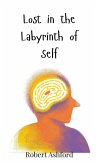 Lost in the Labyrinth of Self Lost in the Labyrinth of Self