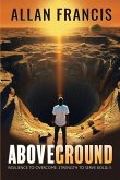 Above Ground Above Ground