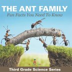 The Ant Family - Fun Facts You Need To Know