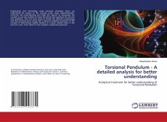 Torsional Pendulum - A detailed analysis for better understanding