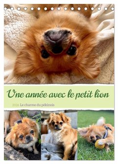 Cover Une année avec le petit lion - Le charme du pékinois (Calendrier de bureau 2026 DIN A5 horizontal), CALVENDO calendrier mensuel