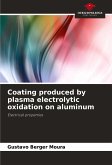 Coating produced by plasma electrolytic oxidation on aluminum