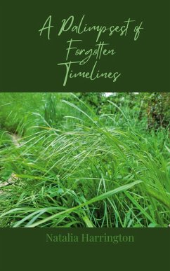 Cover A Palimpsest of Forgotten Timelines