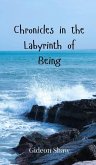 Chronicles in the Labyrinth of Being Chronicles in the Labyrinth of Being