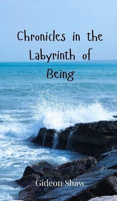 Chronicles in the Labyrinth of Being Cover Chronicles in the Labyrinth of Being