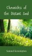 Chronicles of the Distant Soul - Bild 1