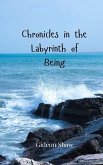 Chronicles in the Labyrinth of Being Chronicles in the Labyrinth of Being