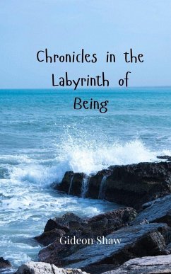 Cover Chronicles in the Labyrinth of Being