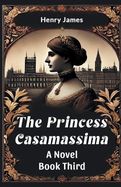 Cover The Princess Casamassima A Novel Book Third