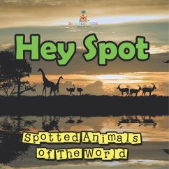 Cover Hey Spot