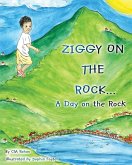 Ziggy on the Rock Ziggy on the Rock