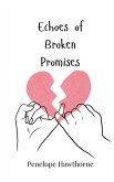 Echoes of Broken Promises