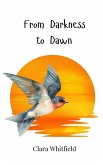 From Darkness to Dawn From Darkness to Dawn
