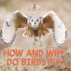 How and Why Do Birds Fly