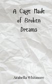 A Cage Made of Broken Dreams A Cage Made of Broken Dreams