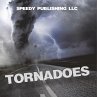 Tornadoes - Bild 1