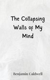The Collapsing Walls of My Mind