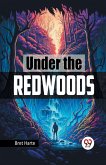 Under the Redwoods Under the Redwoods